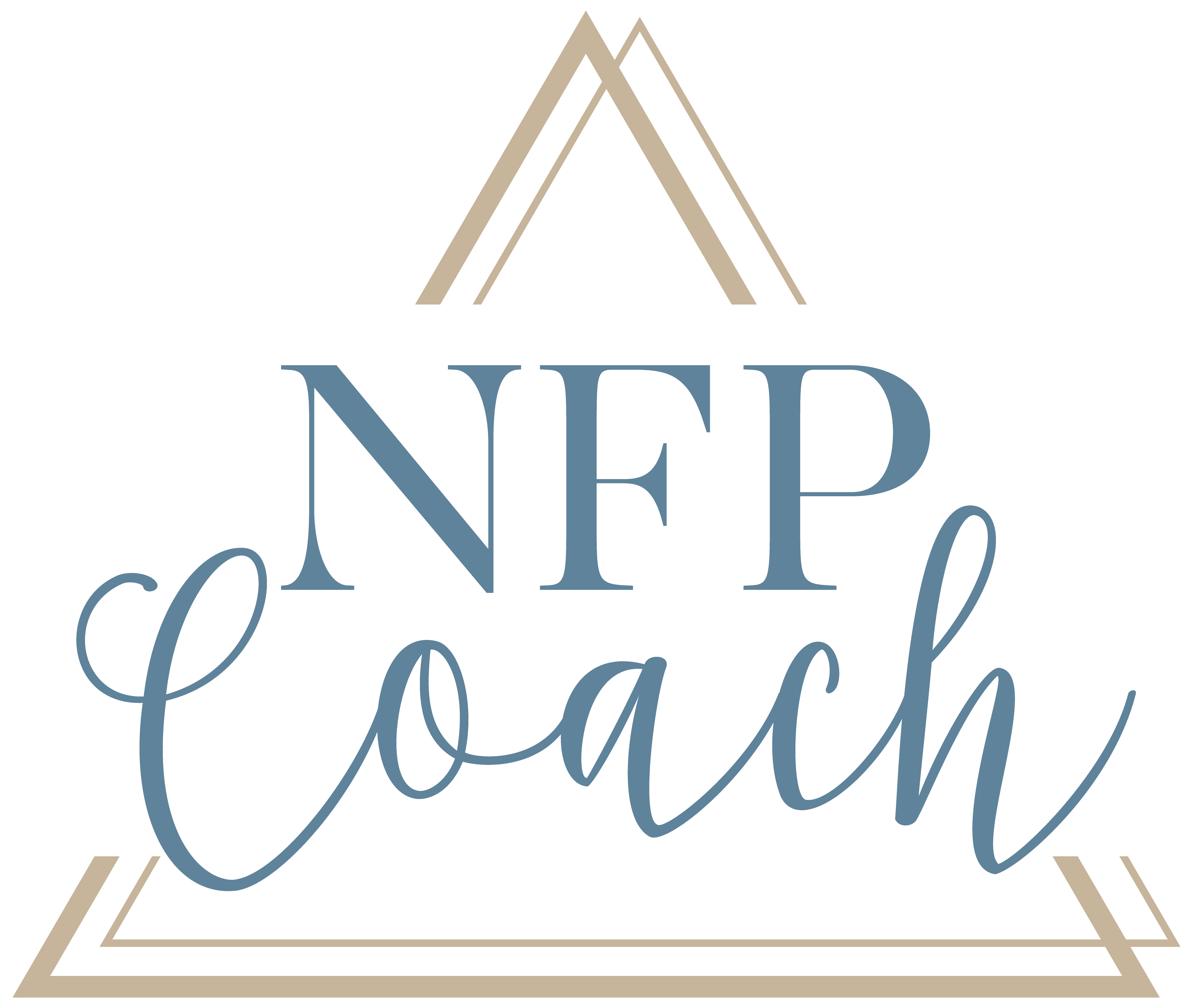 NFP Coach in blue with tan triangles around it